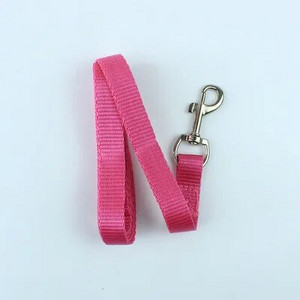 Šunų nailoniniai pavadėliai Didmeninė prekyba Vasaros tvirti pavadėliai Virvelės Mielos Mažos katės Čihuahua Antkakliai Pavadėliai lauke Naminių gyvūnėlių prekių tiekėjas Mielas