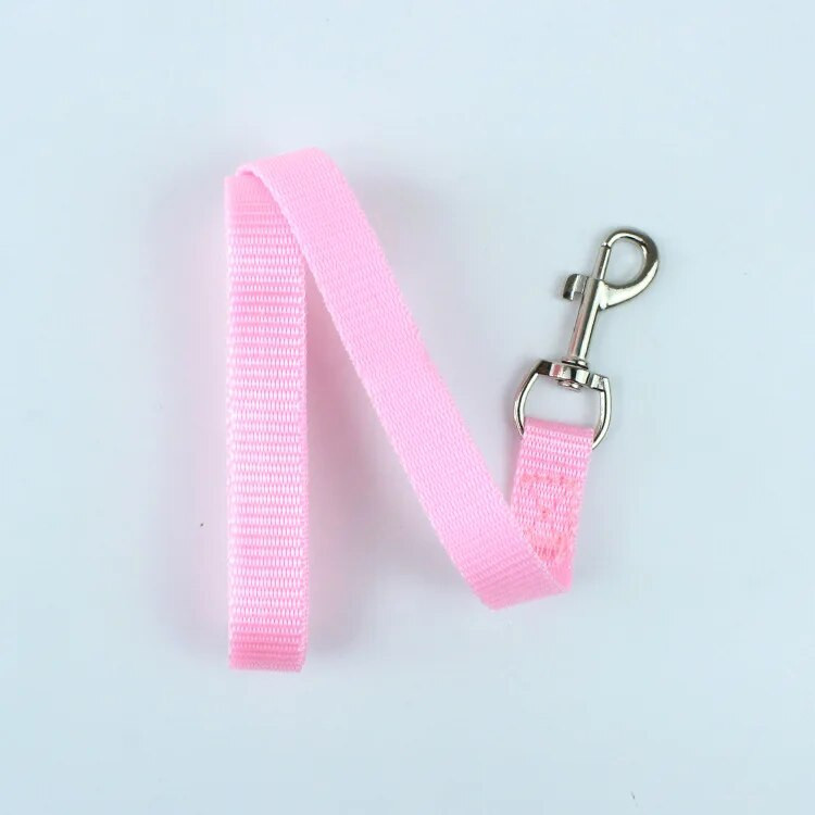 Šunų nailoniniai pavadėliai Didmeninė prekyba Vasaros tvirti pavadėliai Virvelės Mielos Mažos katės Čihuahua Antkakliai Pavadėliai lauke Naminių gyvūnėlių prekių tiekėjas Mielas