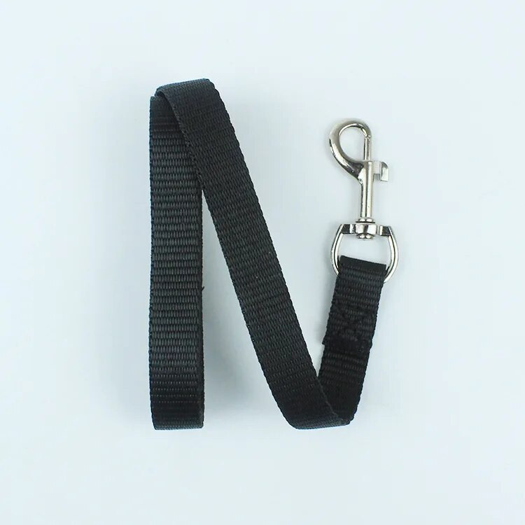 Šunų nailoniniai pavadėliai Didmeninė prekyba Vasaros tvirti pavadėliai Virvelės Mielos Mažos katės Čihuahua Antkakliai Pavadėliai lauke Naminių gyvūnėlių prekių tiekėjas Mielas