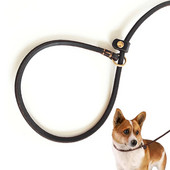 Natūralios odos slydimo pavadėlis mažiems ir vidutiniams šunims šuniukams Lengvas plonas, bet tvirtas reguliuojamas slydimo pavadėlis šunims, 0,6 cm pločio