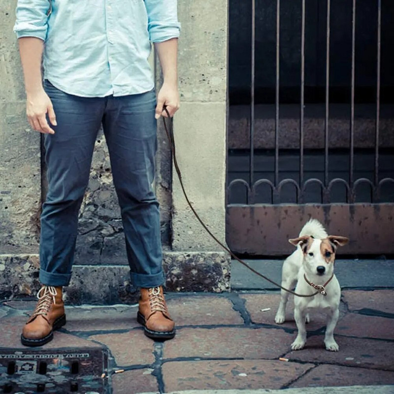 Natūralios odos slydimo pavadėlis mažiems ir vidutiniams šunims šuniukams Lengvas plonas, bet tvirtas reguliuojamas slydimo pavadėlis šunims, 0,6 cm pločio