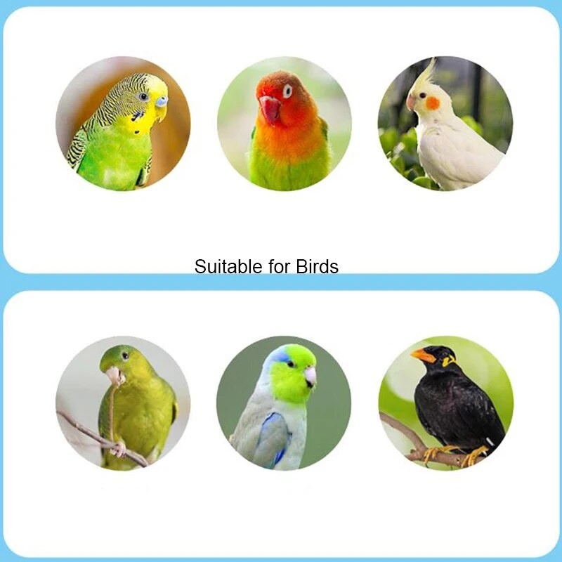 Spygliuota natūralaus medžio naminių gyvūnėlių papūga žaliavinės medienos šakutė medžio šakelė stovas Voverės paukščio žiurkėno šakelė ešeriai kramtyti kąsnio žaislai