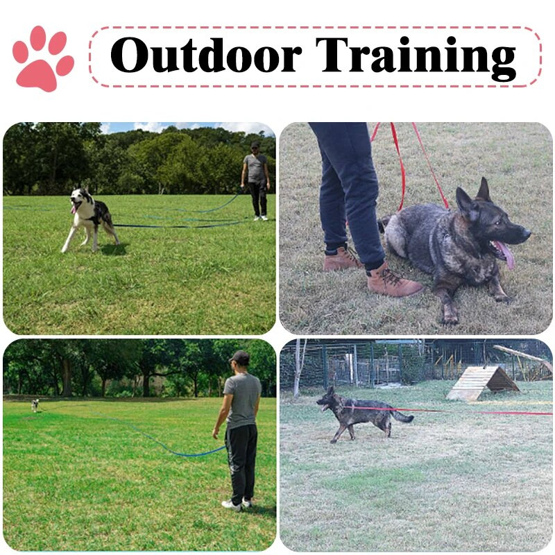 3M 5M Mic Mediu Mare Lesă Câine Animal de companie Pisică În aer liber Antrenament de mers Coarda lungă de plumb 3 5 metri Linii negre pentru cățeluși Materiale de tracțiune