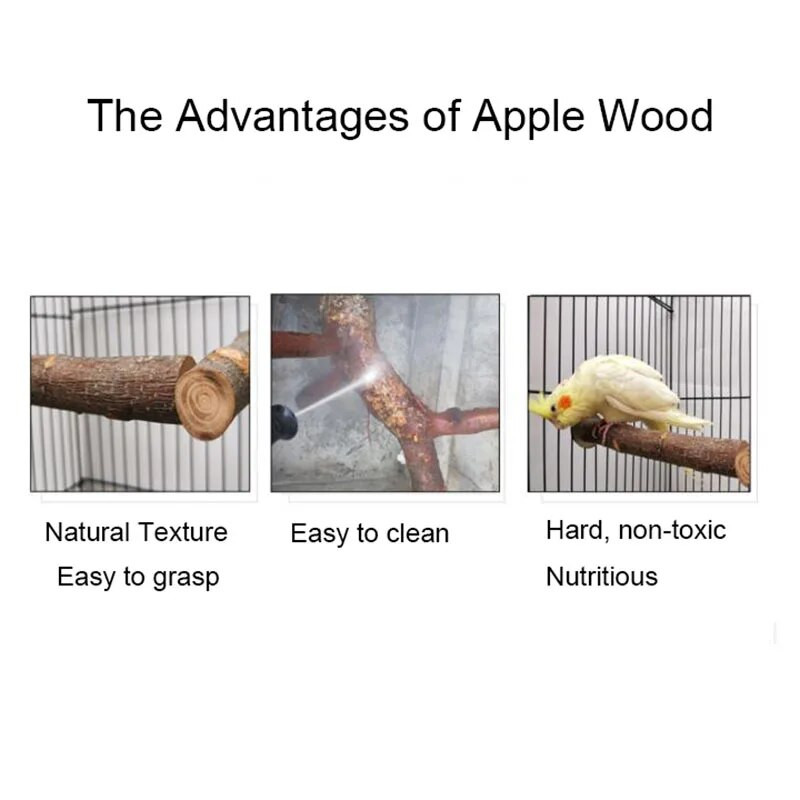 Prirodno drvo Kućni ljubimac Papiga Sirovo drvo Vilica Stalak za grane Stalak Vjeverica Ptica Hrčak Grana Smuđevi Igračke za žvakanje Ugrizi Štap