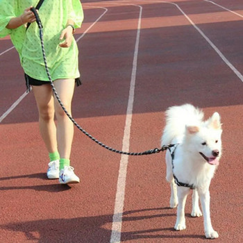 Гореща 1,5M каишка за домашни любимци Светлоотразителна здрава каишка за кучета с удобна подплатена дръжка Тежкотоварни тренировки Издръжливи найлонови въжени каишки