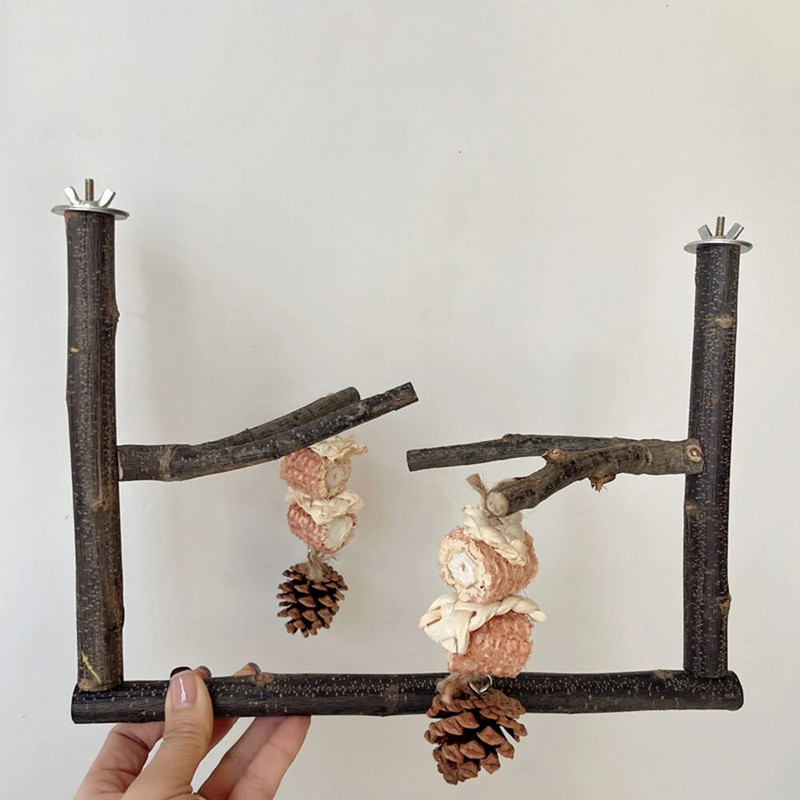 Paukščių ešerių stovas su kankorėžiais ir virviniais papūgos kramtomaisiais žaislais.