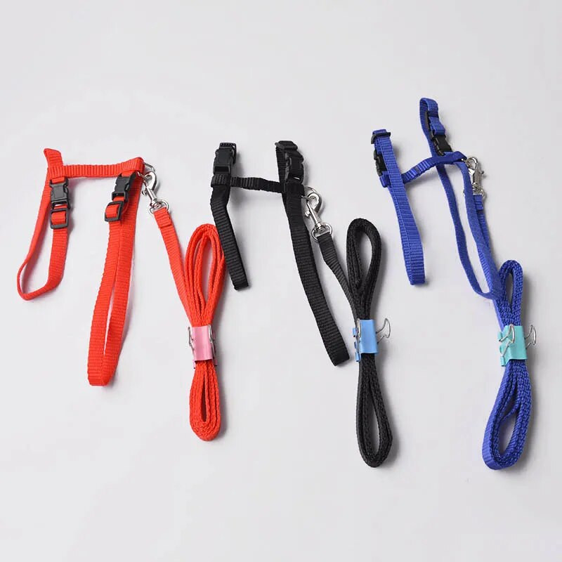 Ham și lesă pentru câini de companie mici Chihuahua, 3 culori, nailon, centură de tracțiune reglabilă pentru animale de companie, accesorii pentru câini, guler pentru câine.