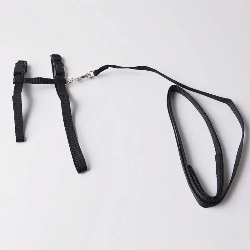 Ham și lesă pentru câini de companie mici Chihuahua, 3 culori, nailon, centură de tracțiune reglabilă pentru animale de companie, accesorii pentru câini, guler pentru câine.