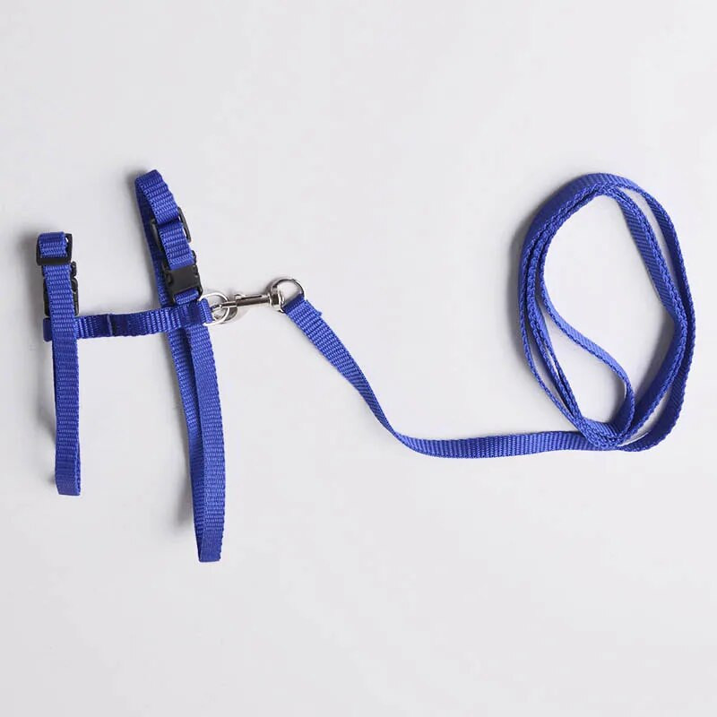 Ham și lesă pentru câini de companie mici Chihuahua, 3 culori, nailon, centură de tracțiune reglabilă pentru animale de companie, accesorii pentru câini, guler pentru câine.