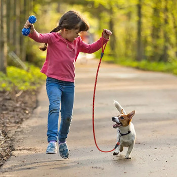 1,5m Ανθεκτικό λουρί σκύλου Nylon Puppy Στρογγυλά Λουριά Αντιολισθητικό Σχοινί Μολύβδου για Περπάτημα Ζώων για Μικρούς Μεσαίους Σκύλους Γάτες Ζώνη για Κατοικίδια Ζώνη Ροζ