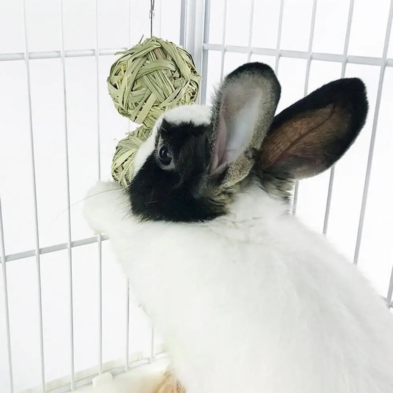 Male životinje Igračke za žvakanje Viseće loptice za žvakanje za zeca Zec Činčila Zamorac Činčila Dodaci za zeku Proizvodi za kućne ljubimce