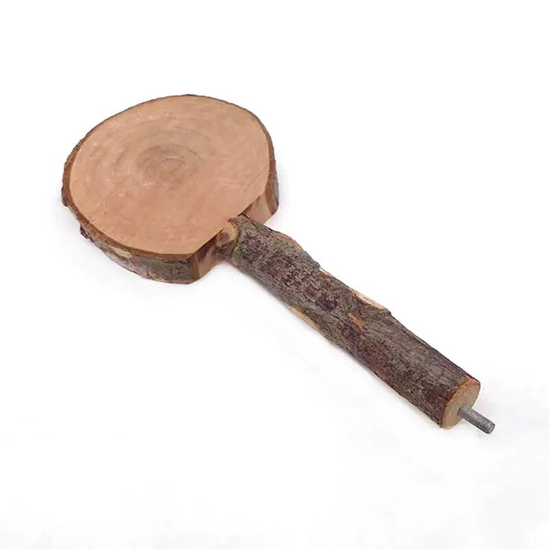 Prirodno drvo Kućni ljubimac Papiga Sirovo drvo Vilica Stalak za grane Stalak Vjeverica Ptica Hrčak Grana Smuđevi Igračke za grickanje Štap