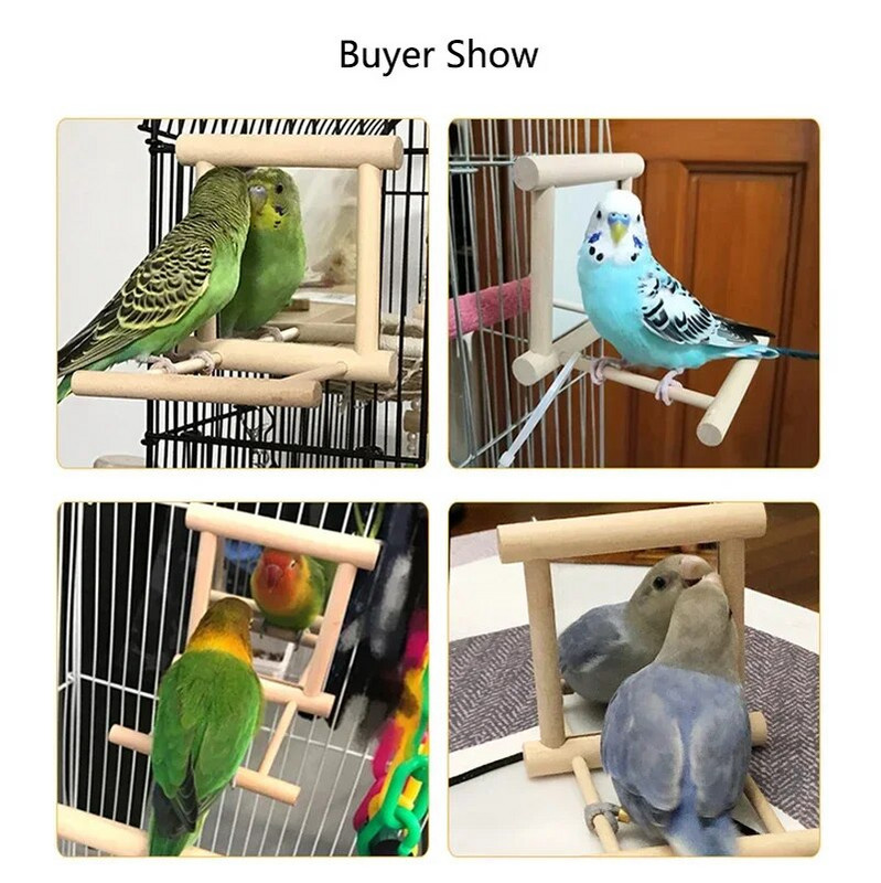 Medinis paukščių narvelio stovas su veidrodiniu žaislu, skirtas papūgai papūgai arai kikiliai Mažas stovas pagaliukai, stovintys gyvūnams reikmenys paukščių narveliui