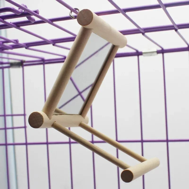 Medinis paukščių narvelio stovas su veidrodiniu žaislu, skirtas papūgai papūgai arai kikiliai Mažas stovas pagaliukai, stovintys gyvūnams reikmenys paukščių narveliui