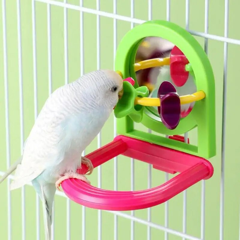Paukščių veidrodžio interaktyvus žaislas, skirtas mažoms papūgėlėms, papūgėlėms.