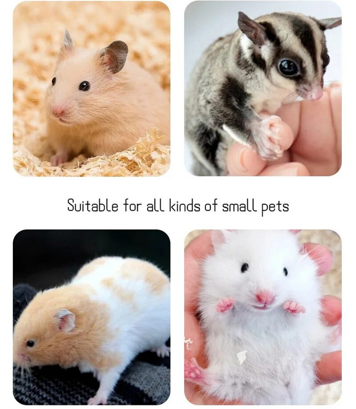 Meškos formos žiurkėnų vonios kambarys visiškai skaidrus stebėjimo vonios kambarys "Hamster Mouse" tualetas mažas augintinis narvelis dėžutės akrilo namas