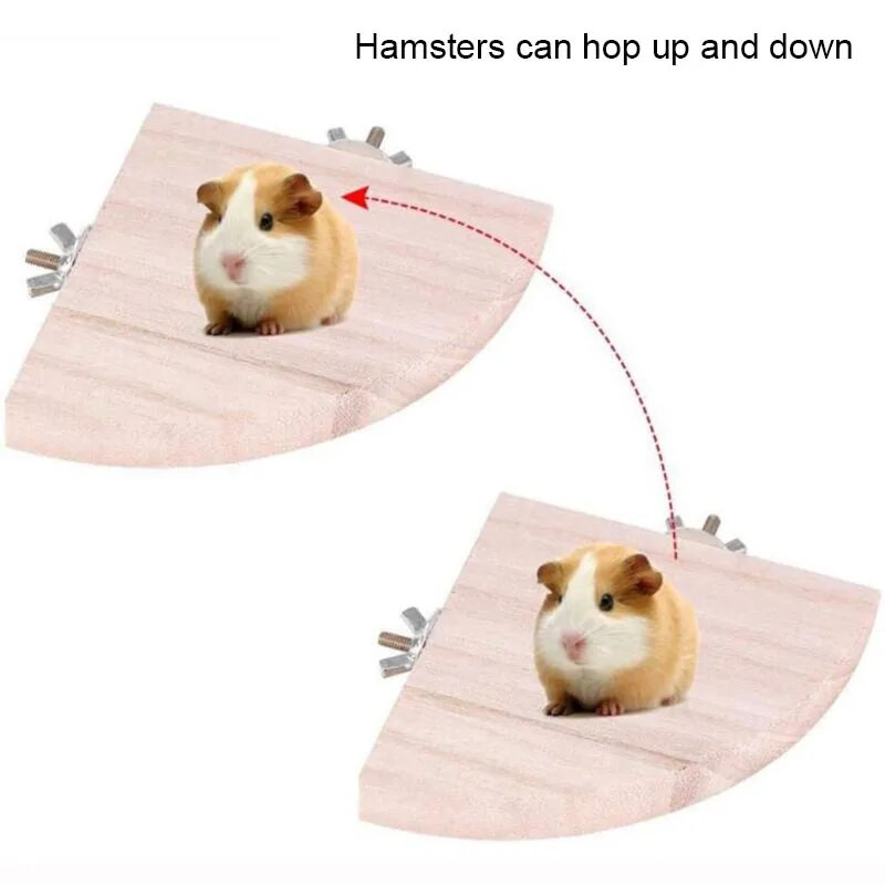 Naturaalsest puidust Lemmikloomapapagoi Toorest puidust kahvlipuu oks, Orav Lind Hamstri Oks Ahvenad Närimishammustuse Mänguasjad