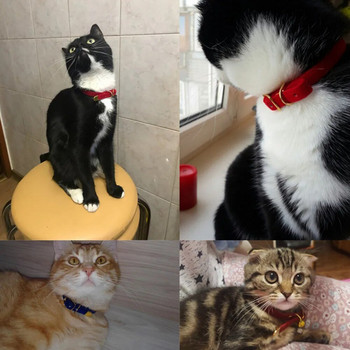 Κολάρο γάτας με καμπάνα κολάρα γάτας Γιακά κουταβιού για γάτες Μικρά σκυλιά Γατάκια Συμπαγές κολάρο για κατοικίδια Αξεσουάρ για κατοικίδια για γάτες