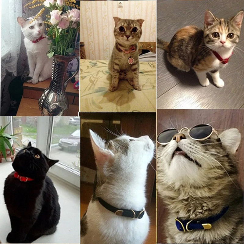 Antkaklis katei su varpeliu Apsauginis kačių antkaklis Šuniuko antkaklis katėms Mažiems šunims Kačiukams Tvirtas Antkaklis Kačių priedai