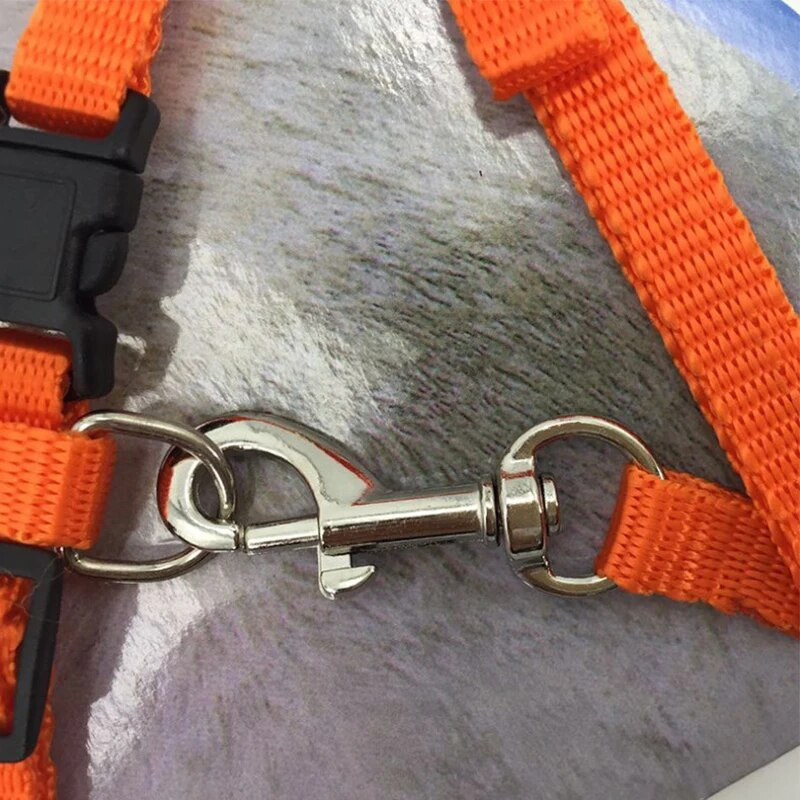 Lauko katės vaikščiojimo virvė Greitai atsegama sagtis Nailono katės grandinės krūtinės dirželis naminių gyvūnėlių pavadėlis Reguliuojamas katės apykaklės diržas apynasrio diržas