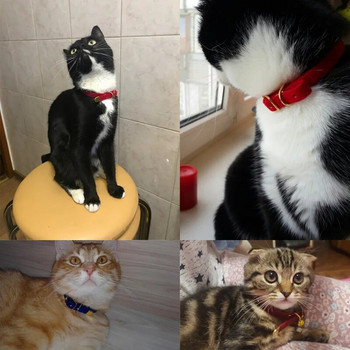 Κολάρο γάτας για γάτες Μικρά σκυλιά Γατάκια Ρυθμιζόμενα μονόχρωμα Κολάρα για κατοικίδια Προϊόντα Τσιουάουα Προμήθειες για κατοικίδια