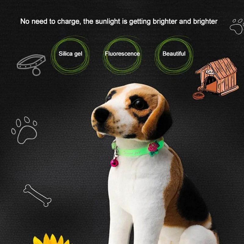 Šviečiantys kačių karoliai žėrintys maži šunys kačių antkakliai nuo praradimo fluorescencinis silikoninis kačių varpelio antkaklis kačių kačių priedai