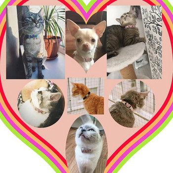 Γούρι καρδιάς και κολάρο γάτας με καμπάνα, ελαστικό ασφαλείας, ρυθμιζόμενο με μαλακό βελούδινο υλικό 8 χρωμάτων Προϊόν για κατοικίδια Μικρό κολάρο για σκύλους