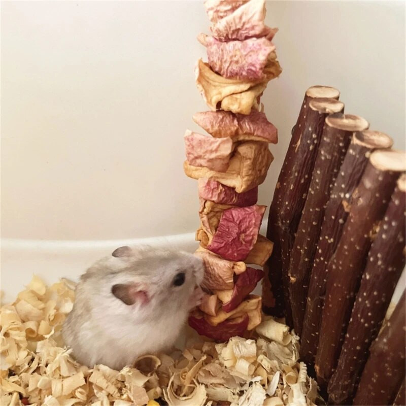 Кътници за домашни любимци Натурални сушени плодове Снек Хамстер Чинчила Моларна играчка Устойчива на дъвчене Снек за малки домашни любимци Предотвратяване на запек