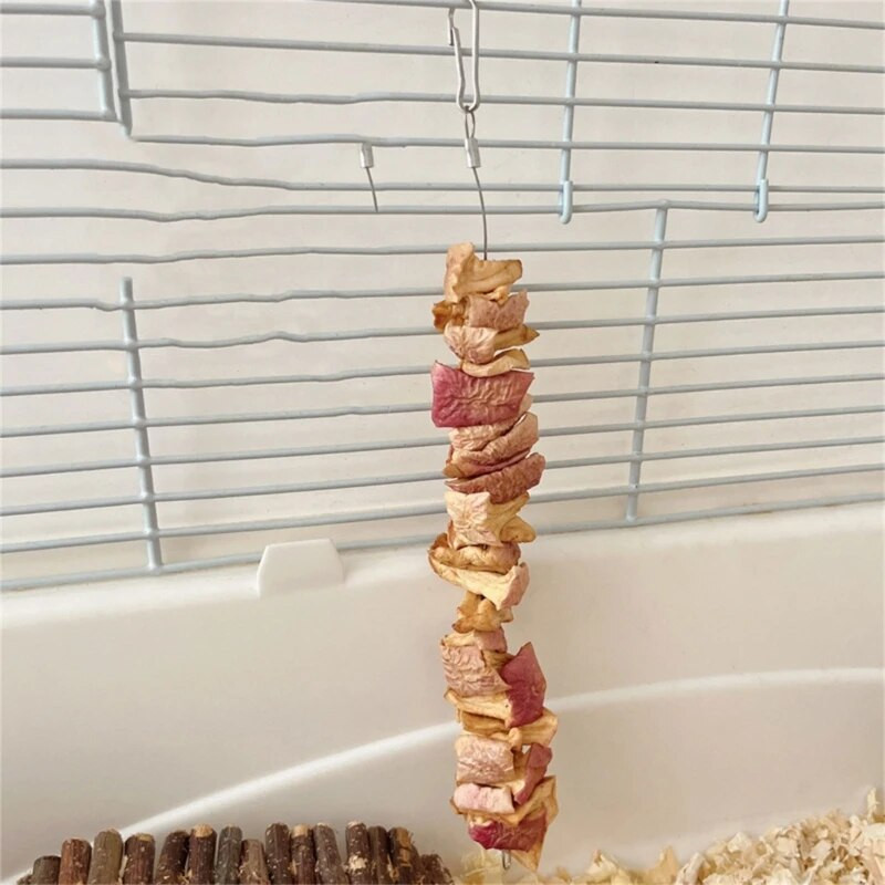 Кътници за домашни любимци Натурални сушени плодове Снек Хамстер Чинчила Моларна играчка Устойчива на дъвчене Снек за малки домашни любимци Предотвратяване на запек