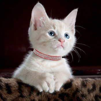 Котешка яка от мека велурена кожа Bling Rhinestone Cats Collars with Bell Safety Breakaway Pet Puppy Колие Adjustable XS S Pink
