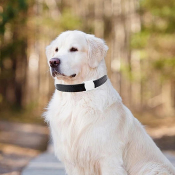 Το GPS Tracker για σκύλους σε πραγματικό χρόνο Global Location Tracker Λειτουργεί με οποιοδήποτε κολάρο αδιάβροχο Pet Track με LED Light Up APP Track