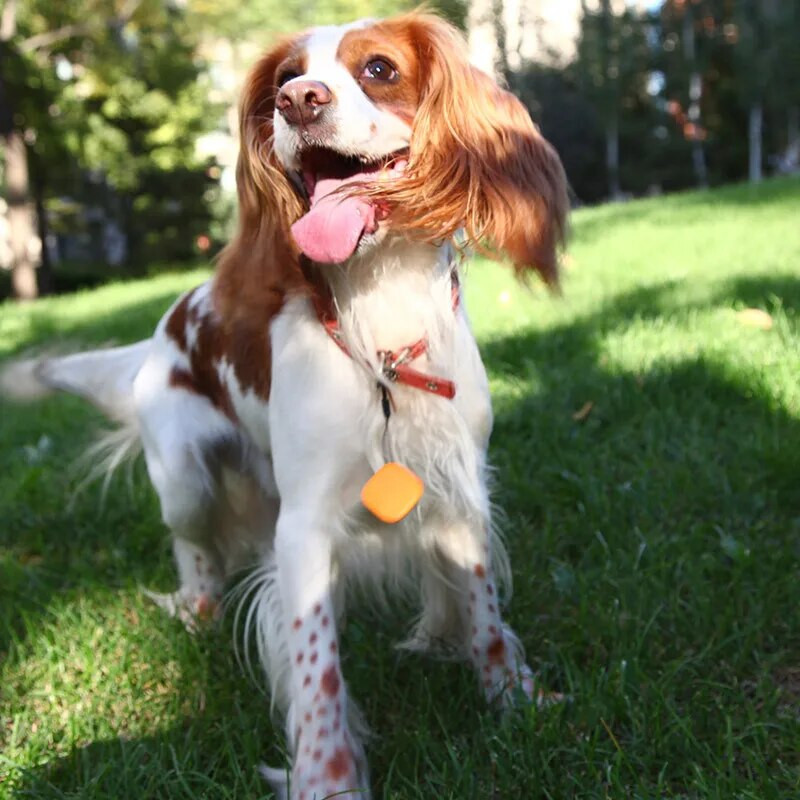 Интелигентен безжичен GPS тракер Възрастно дете Портфейл за домашен любимец Ключове Чанти за кола Куфар Анти-загубен GPS локатор Търсене на аларма Проследяване на позициониране