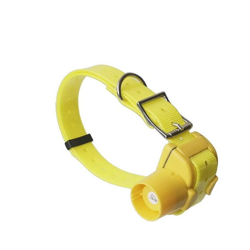 2020. aasta värskendatud versioon Koerte piiksuri kaelarihmad koerte treenimiseks veekindlas 8 sisseehitatud piiksuris