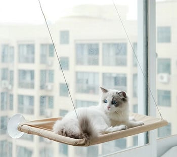 Χαριτωμένα κρεβατάκια για κατοικίδια με ρουλεμάν 20 κιλών για γάτα Sunny Window Mount Αιώρα για κατοικίδια Άνετη ράφι για κατοικίδια για γάτες Κρεβάτια καθισμάτων