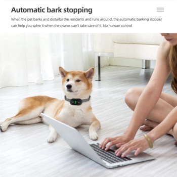 Smart Automatic Anti Barking Dog Collar Electronic Training Collar HD Digital Display IP67 Επαναφορτιζόμενο Ηλεκτρικό Πώμα Bark