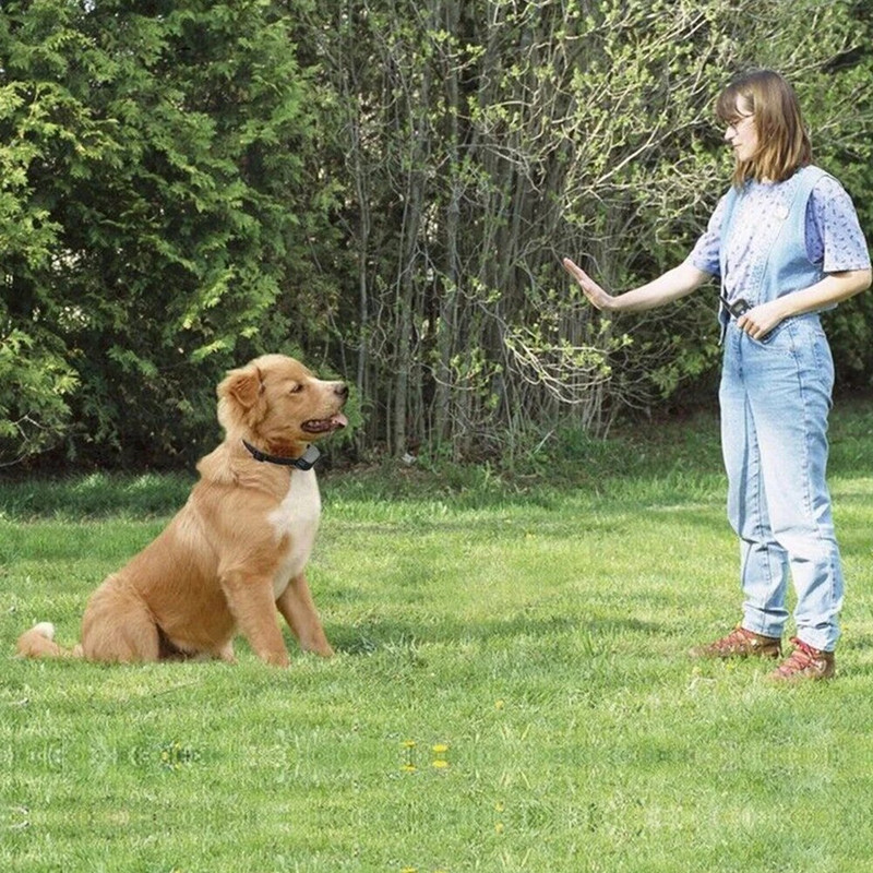 300M koera haukumisvastane kaelarihm, laetav haukumisvastane treeningkaelarihm puldiga haukumata kaelarihmaga 4 treeningrežiimi koerte treenimistarbed