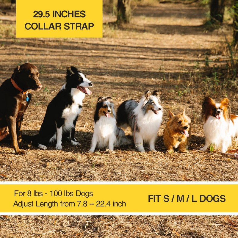 400M kaugjuhtimispuldiga koerte põrutusrihm Laetav haukumisvastane koera kaelarihm elektrišoki treenimine lemmikloomade koolitaja kaelarihm veekindel