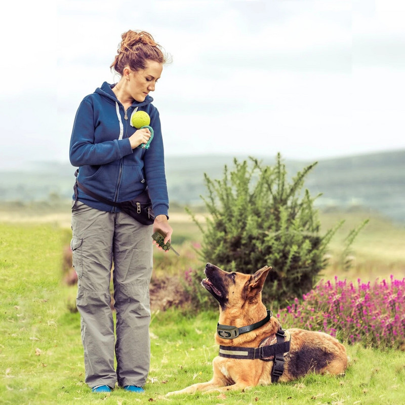 ABQP koeratreeningu kaelarihma tarvikud Elektrišokk Koertevaba rihm suurtele koertele Koerte varustustarvikud Vibratsioonihelišokk
