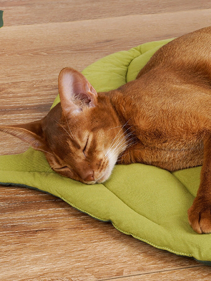 Котешки матрак с форма на листа Котешко гнездо Котка и куче Двустранна налична подложка за подова подложка Топла и удобна карикатура Котешко легло Ind