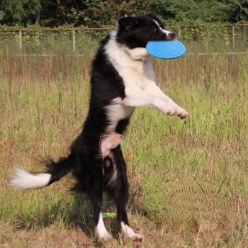 Παιχνίδια κατοικίδιων Δίσκοι για ιπτάμενα σκυλιά Διαδραστική εκπαίδευση για κατοικίδια, ανθεκτικά στο δάγκωμα, μαλακά προμήθειες για κατοικίδια