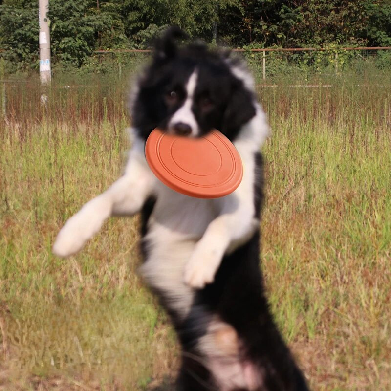 Žaislai naminiams gyvūnėliams šunų skraidantys diskai naminių gyvūnėlių interaktyvūs mokymai, plūduriuojantys, atsparūs įkandimams, minkšti naminių gyvūnėlių reikmenys