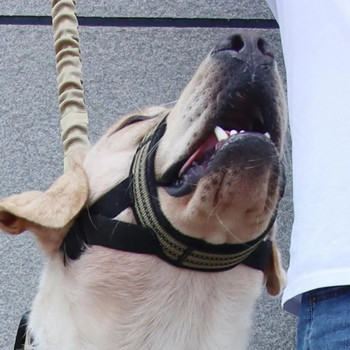 Ρυθμιζόμενο αντανακλαστικό λουρί με ρύγχος σκύλου ταχείας απελευθέρωσης Άνετο καπίστρι για υπαίθριες βόλτες με μαλακό λουρί μύτης