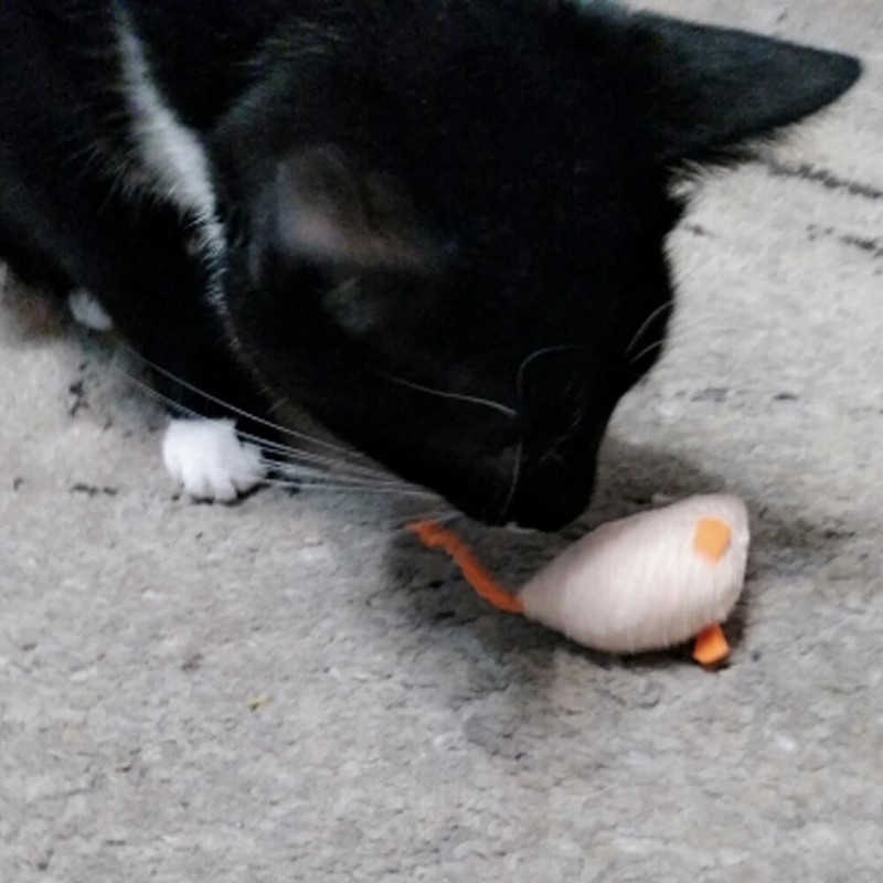 3db/tétel Mix kisállat játék Macskagyökér egerek Macskajátékok Szórakoztató plüss egér macskajáték cica plüss egér számára