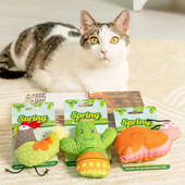Χαριτωμένο Catnip Pets Παιχνίδι Γάτα Μέντα βελούδινο παιχνίδι Γάτα Protect Mouth Κουτάβι Γατάκι Τρίξιμο Δόντια Γάτα Προμήθειες Λούτρινο σαλιγκάρι Κάκτος παιχνίδι γάτα