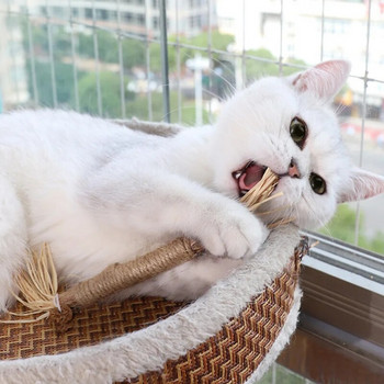 1 PC Παιχνίδια για γάτες Silvervine Chew Stick Polygonum Kitty Raffia Grass Pet Supplies Cleaning Teeth Stick Pet Bite Cat Toy Canmp Rope