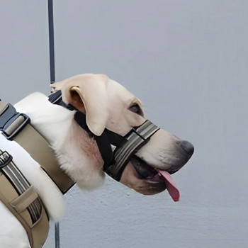 Бързо освобождаваща се кучешка муцуна Регулируема светлоотразителна каишка за кучешка муцуна Удобен оглавник за разходки на открито с мека каишка за носа Домашен любимец