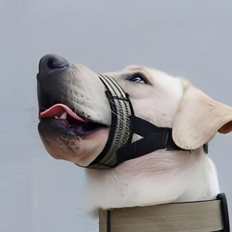 Kiiresti vabastatav koera koon Reguleeritav helkur Koera koonu jalutusrihm Mugav päitsed õues jalutamiseks pehme nina jalutusrihma lemmikloomaga