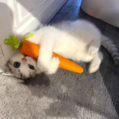 Cat Toys Sound Carrot Αγκαλιάστε ραβδί γάτας από διασκεδαστικό ραβδί οδοντοφυΐας γάτας κατά του δαγκώματος σανίδα γρατσουνιάς γάτας προμήθειες για κατοικίδια