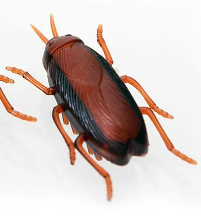 Mini Electric Bug Pet Dog Cat Toy Διαδραστικό χαριτωμένο πασχαλίτσα Beetle Σχήμα Ζώου Παιχνίδια γάτας Παιχνίδια με έντομα που περπατούν για γάτα