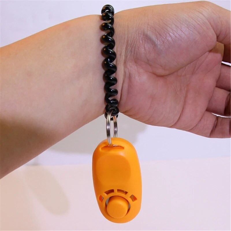 Šunų dresūros paspaudimai ir nuoseklūs teigiami pastiprinimai